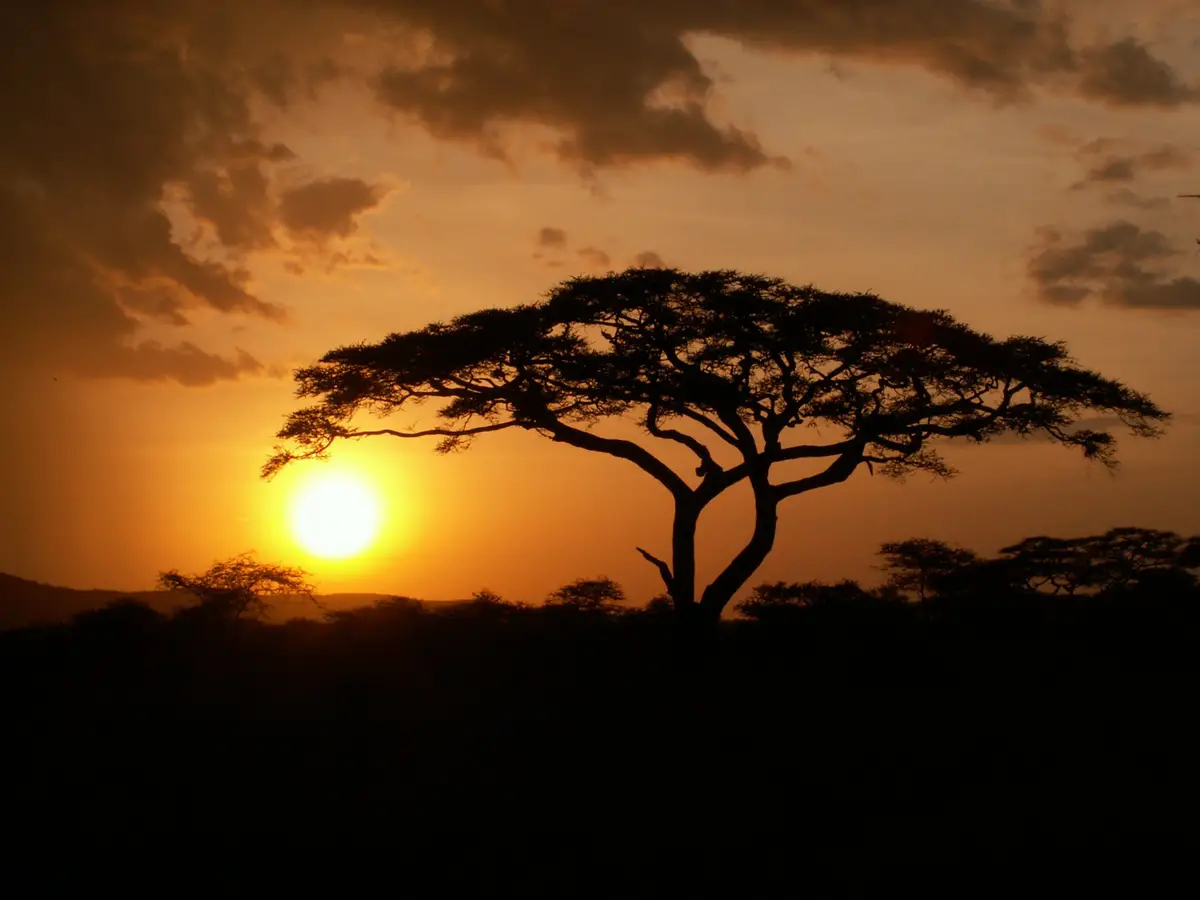 TOP 10 cele mai populare excursii în Africa